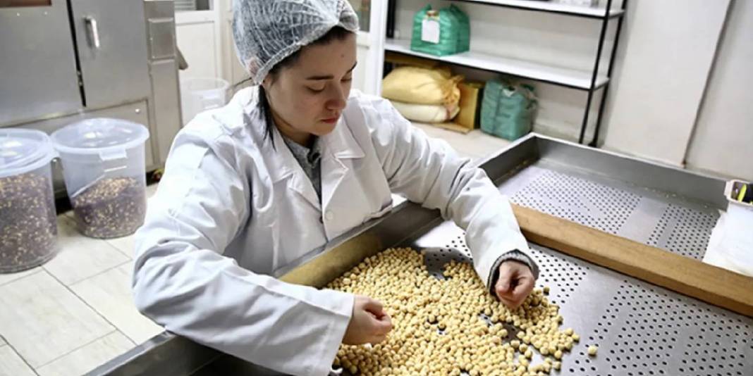 23 yaşında patronlukla tanıştı! 3 farklı şekilde işliyor: Geleceğe yatırım yapıyor 1